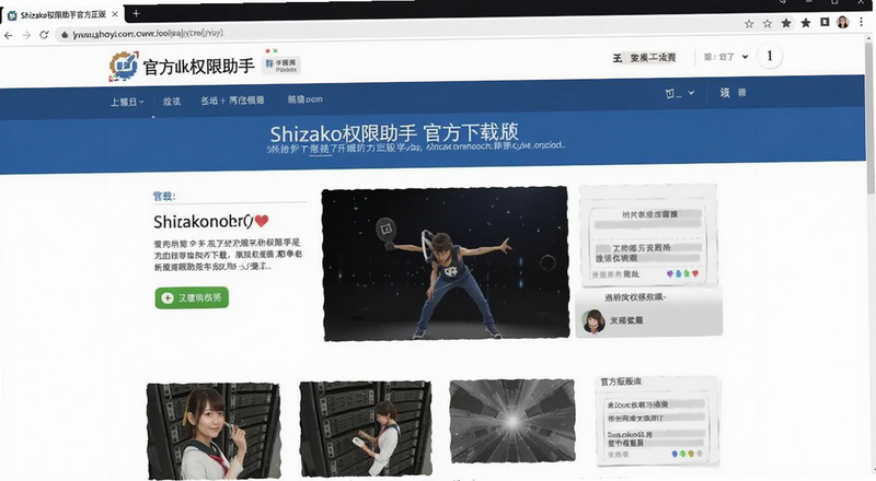 Shizako权限助手官方正版下载页面截图