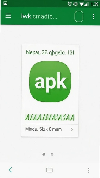 安卓手机下载apk安装包界面截图
