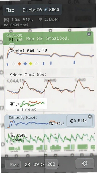 Fizz运行内存占用监测截图