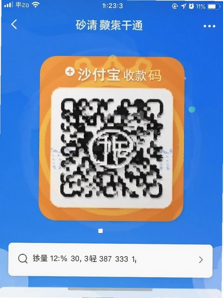 沙付宝收款码申请页面截图