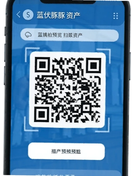 蓝伏豚资产二维码扫描页面预览图