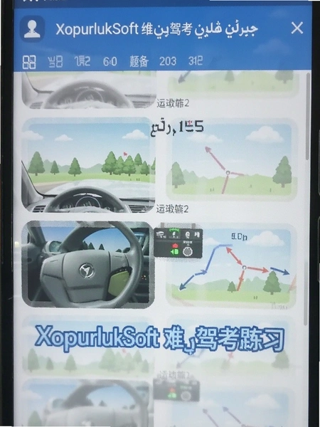 XopurlukSoftά��ݿ������ϰ����