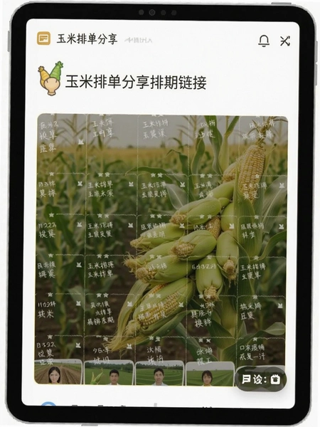 玉米排单分享排期链接界面