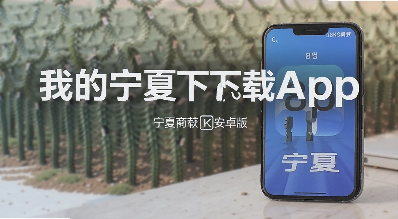 我的宁夏下载app安卓版