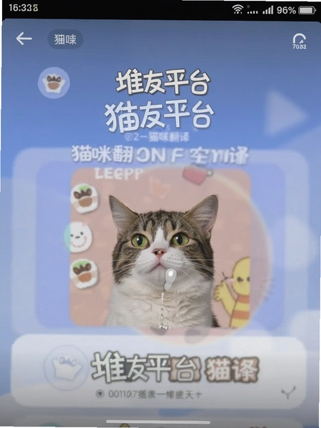 ����ƽ̨è�䷭������ͼ