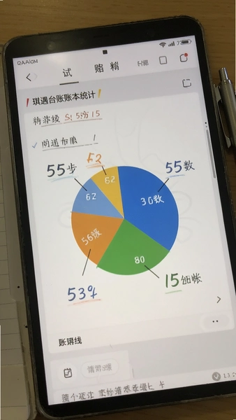 琪遇台账账本统计饼图界面