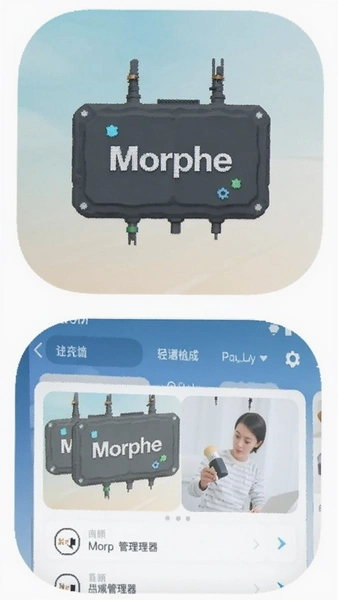 Morphe������Ӧ��ͼ��������ʶ