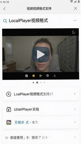 LocalPlayer��Ƶ��ʽ֧���б�����