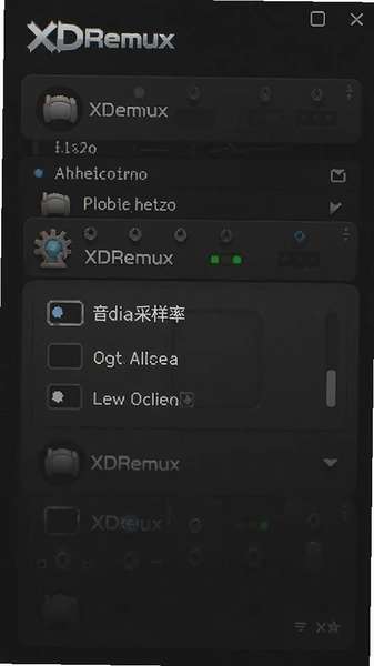XDRemux�߼�������Ƶ�����ʱ���ԭʼѡ��