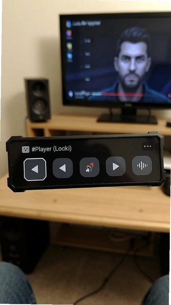 LocalPlayer���ſ�������ť����