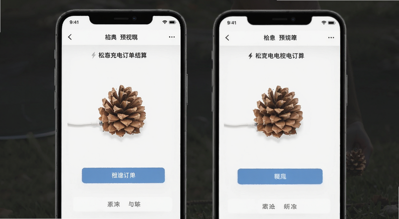 松果充电订单结算页面预览图