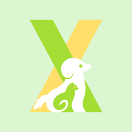 С��ǣǣ(С��ǣǣ����)����v3.1.04