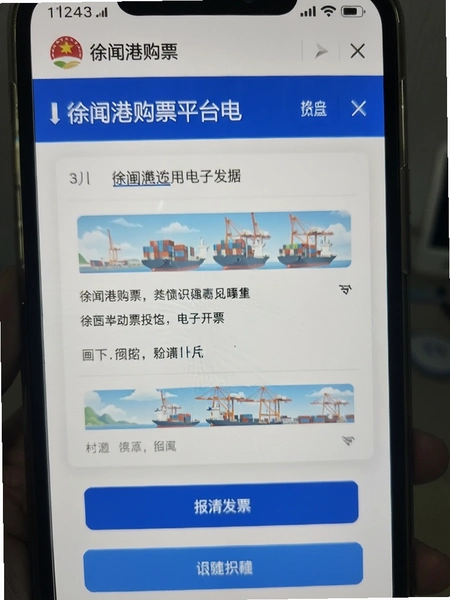 徐闻港购票平台电子发票开具页面