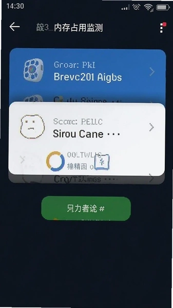 手机内存占用监测界面截图