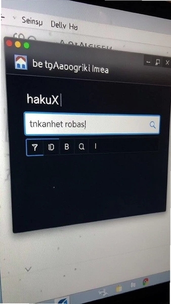 hakuX主界面链接输入框位置