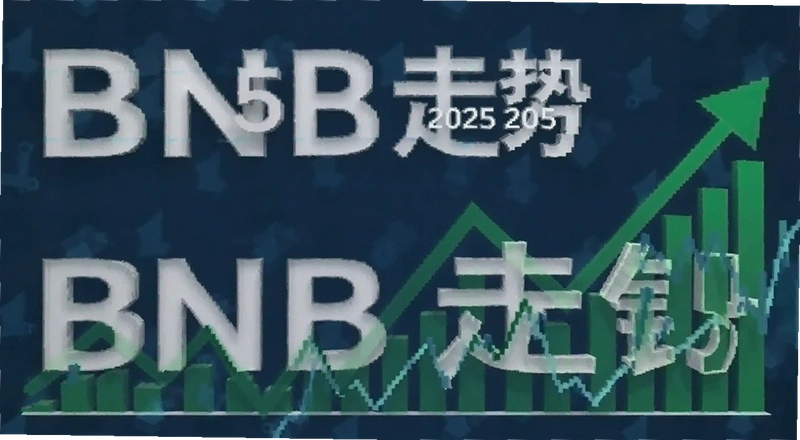 2025��BNB��������߻�����ר��Ԥ����ؼ��ڵ����