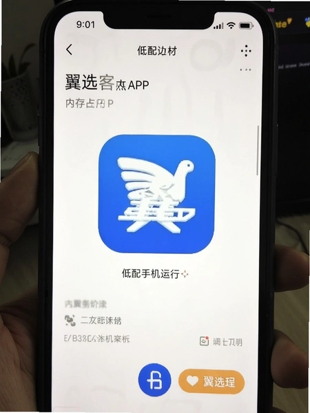 ��ѡ��APP�ڴ�ռ��������ֻ����н���