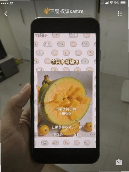 芒果字幕翻译无障碍权限设置截图