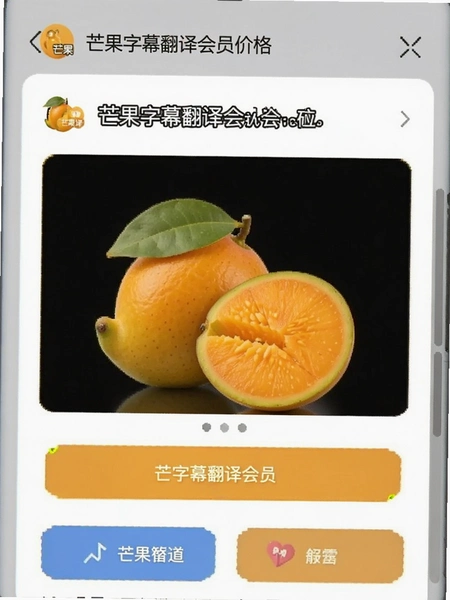 芒果字幕翻译会员价格页面