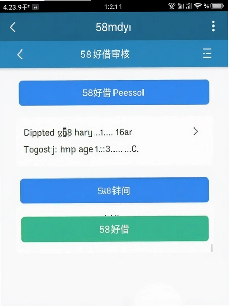 58好借 审核页面 截图