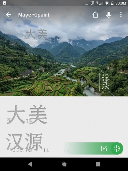 大美汉源安卓手机运行截图