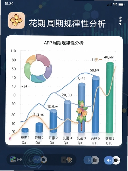花期APP周期规律性分析图表