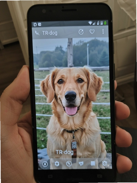 TR-dog��׿����ʵ��