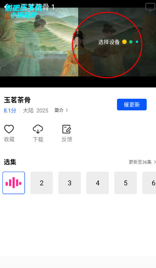 ������Ƶ�����氲װ��