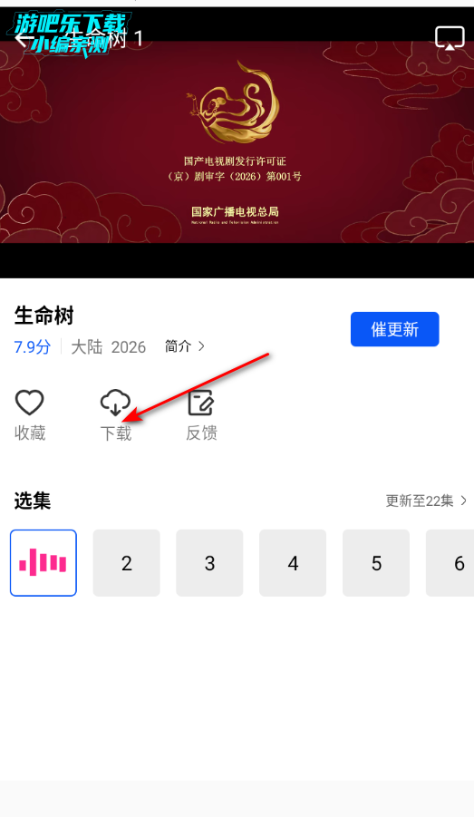 ������Ƶ�����氲װ��