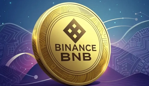 bnb是什么?bnb现在可以入手吗?主力0.85空单做空散户 bnb是什么?bnb现在可以入手吗?主力0.85空单做空散户