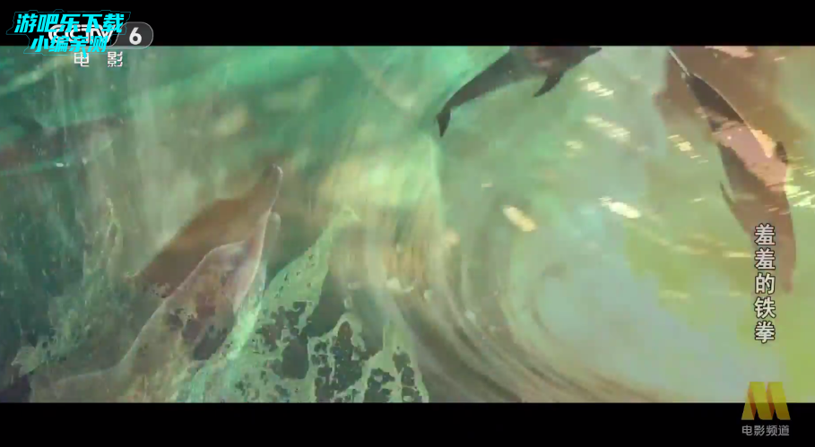 ��ʰ����TV���Ӱ�