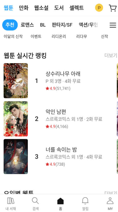 RIDI�����ٷ���������