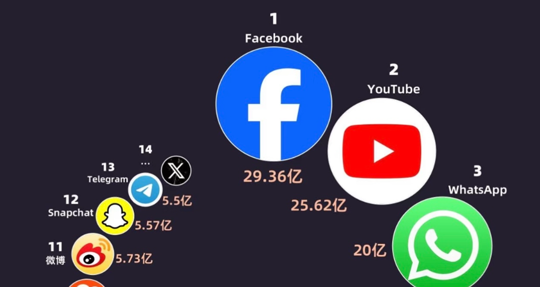 ʮ����������������