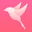 Ե���ͽ����������ذ�װ�ֻ���v3.1.5