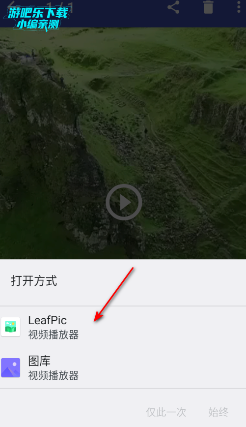 LeafPic��ʽ�����°�