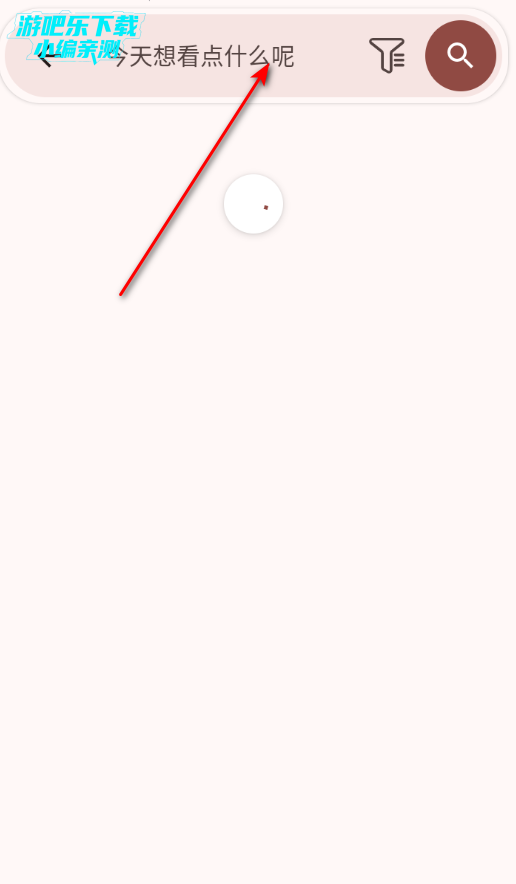 Han1meViewer��װ��