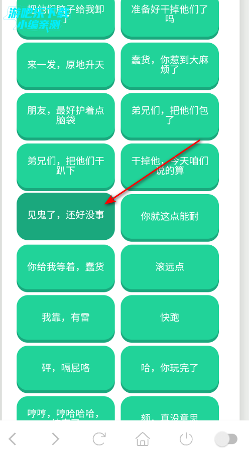 ��˹���������ֻ���