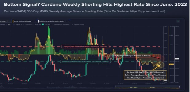 Cardano��ʲô�� Cardano Ŀǰ���ڡ����ᡱ���� �ܲ��ܳ���