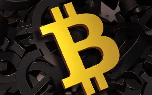 ��Ȧ���׻�������ʲô�����������2026��ʮ����Ѽ��ܻ��ҽ��׻�����