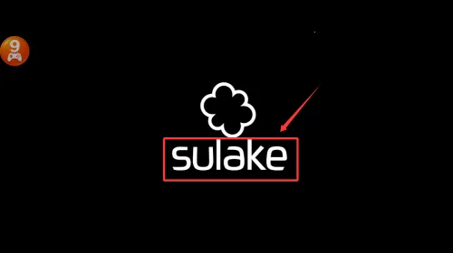 ������ʵ����(������ʵ�Ƶ꾭Ӫ��Ϸ)