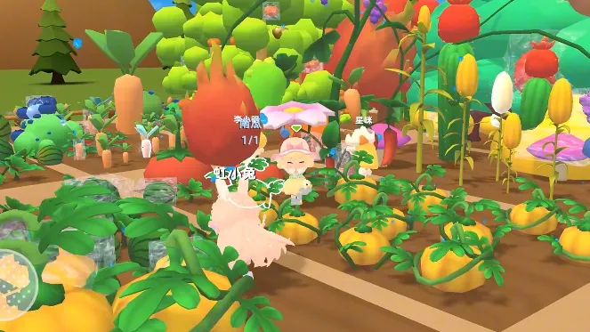 С�����ɶԹٷ�����