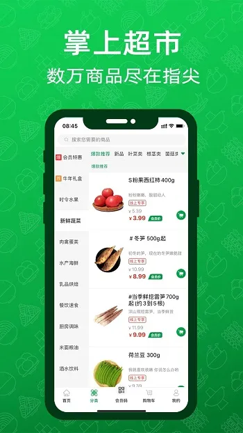 �����Ʋ�(���ϳ����������)