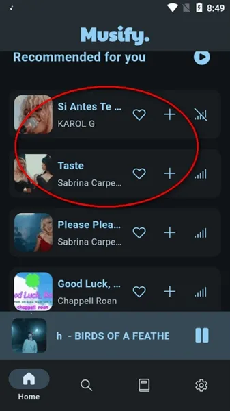 Musify����(Musify����ת��������)