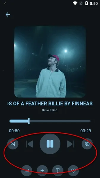 Musify����(Musify����ת��������)