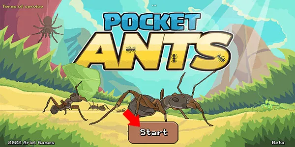 Pocket Ants���°�