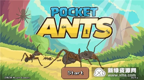 Pocket Ants���°�