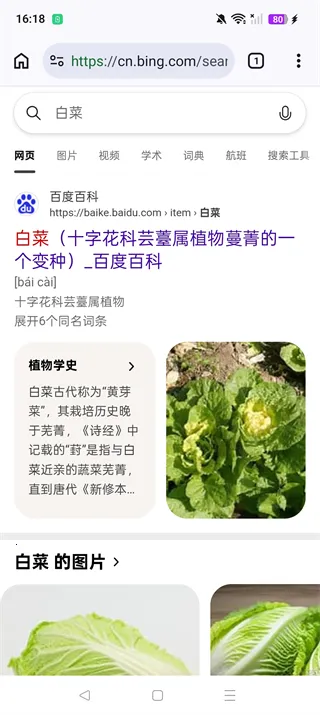 cromite��������°汾2026