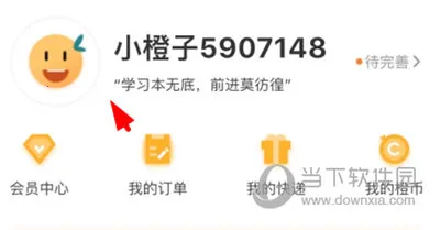 �������°汾2026