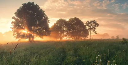 汽车在线2026手机版 汽车在线2026手机版