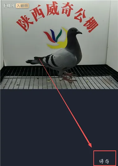 �����2026���°汾